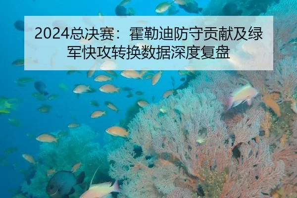 2024总决赛：霍勒迪防守贡献及绿军快攻转换数据深度复盘